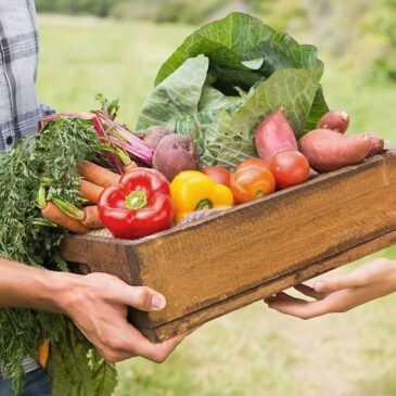 Distribution de colis alimentaires pour les étudiant.es le 01/04/2023